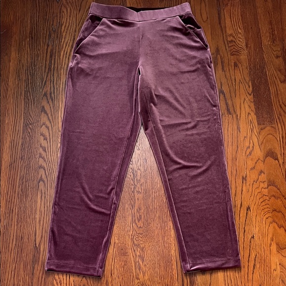 Loft Velvet Pull On Slim Pants Size Small in Bordeaux Festive Holiday Outfit - Picture 2 of 6